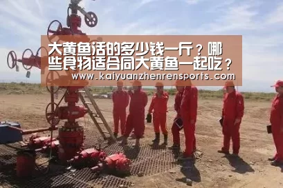 开元竞猜