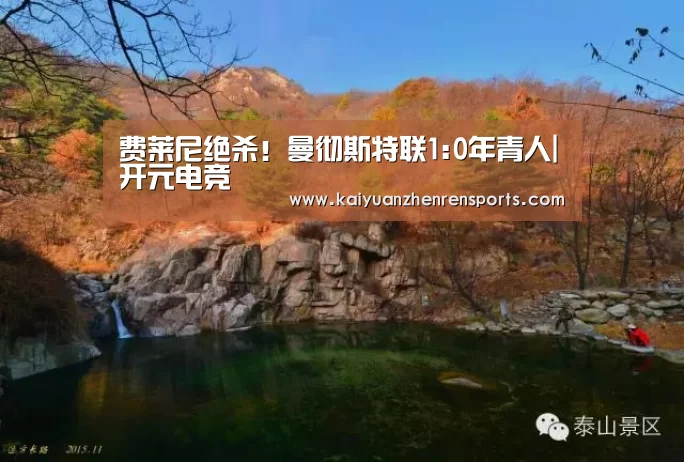 费莱尼绝杀!曼彻斯特联1:0年青人|开元电竞(图1) 开元竞猜